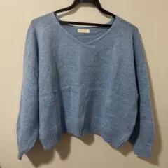 earth music&ecology ライトブルー Vネックセーター