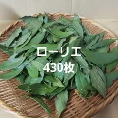 Item thumbnail for item 521bc400-22a7-4751-a42a-37217d107569