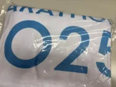 東京マラソン 2025 ポンチョ