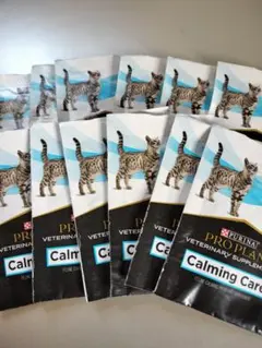 Item thumbnail for item e7ac5f9e-0c43-433c-8e27-48a4d42371c8