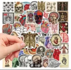 Item thumbnail for item 929c41d3-c609-4f12-9168-ca6518bb5c60