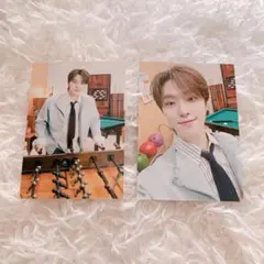 SEVENTEEN HOLIDAY DINO ディノ トレカ セルカ 12 84