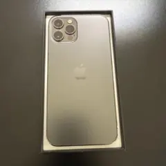 Apple iPhone 12 Pro グラファイト
