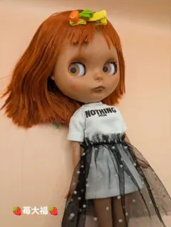 2026年最新】カスタムブライスの人気アイテム - メルカリ