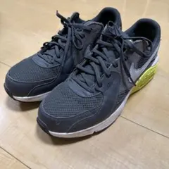 Nike Air Max Exceeのサムネイル