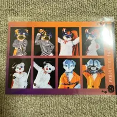 【ねこすけ様専用】 ステッカー