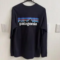 Patagonia パタゴニアロングスリーブ Tシャツ　Sサイズのサムネイル