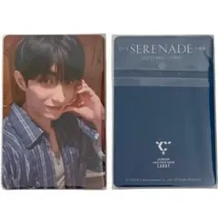 セブチ SEVENTEENメボコン JAPAN CARATブース 2枚セット