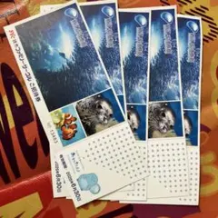 みゆりん様専用。新江ノ島水族館5枚　有効期限2025年6月30日