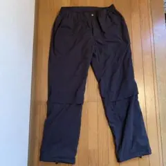 Item thumbnail for item 13f022cc-5d81-4574-8b28-d1f074533699