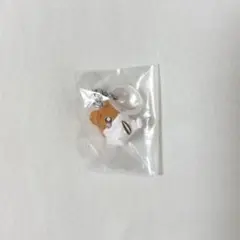 新品 ハムスター倶楽部 しげっち A めじるしアクセサリー