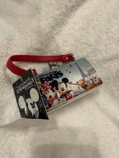 ディズニーランドパリ　小物入れ