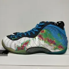Nike Air Foamposite 1 Weatherman