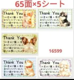 16599 サンキューシール