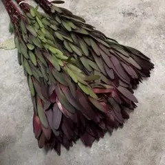 a-o様 リクエスト 2点 まとめ商品