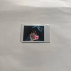 ひつじ様 リクエスト 2点 まとめ商品