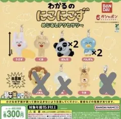 わかるのにこにこずめじるしアクセサリー ６種セット