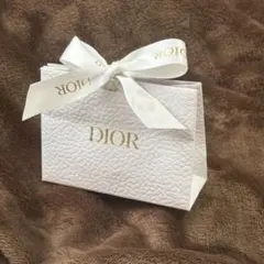Dior ペーパーバッグ XSサイズ★リップマキシマイザーのプレゼントに