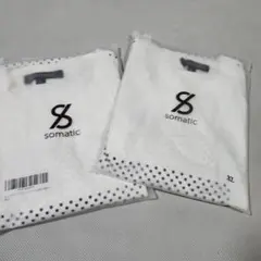 Item thumbnail for item 742ca154-374f-4e2a-998c-8c2d507ae716