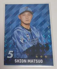 星月夜(プロフ見て下さい様 リクエスト 2点 まとめ商品