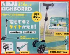 Item thumbnail for item dfeb1cc6-ff8f-48ae-b98e-c5a9ab58aaf2