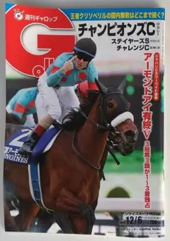 週刊ギャロップ 2020年12月6日号チャンピオンズカップ チュウワウィザード