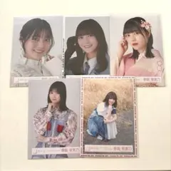 櫻坂46 幸坂茉里乃　2024年4thアニラサンタ衣装 直筆生写真、座り 2026年最新】幸坂茉里乃の人気アイテム - メルカリ