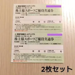 東急不動産 株主優待券 スポーツご優待共通券 2枚セット