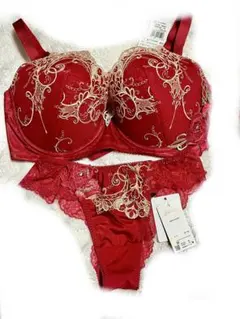 Salute 70g 女優ブラ＆Tバック 上下セット I75 Mサイズ 赤 新品