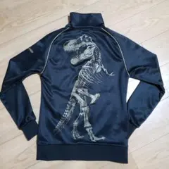 Item thumbnail for item 79a3f9df-112d-476e-b94f-590c8cdeeb87