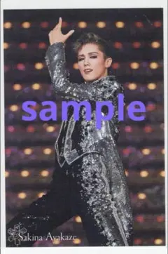 Item thumbnail for item f72942d0-1ea6-4de3-9b9c-f0c78bc2c57d