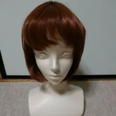 【値下げしました！付属品変更】ウィッグ