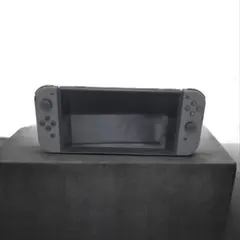 Nintendo Switch 本体 グレー 動作確認済 付属品あり