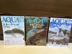 アクアライフ 3冊セット スネークヘッド特集