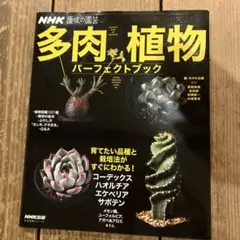 2026年最新】nhk趣味の園芸 観葉植物 パーフェクトブックの人気