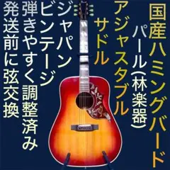 2026年最新】pearl ハミングバード アコースティックギターの人気