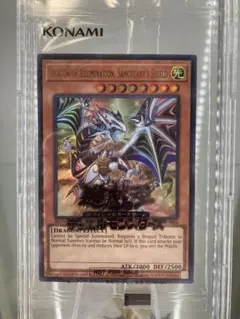 遊戯王　日本選手権優勝プロモ　Dragon of Illumination