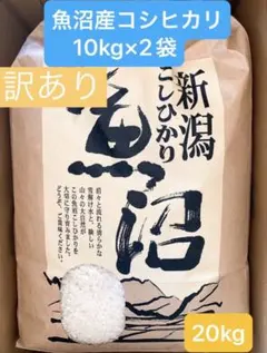 レア品種 シキユタカ★兵庫県産新米 湧き水育ち農家のお米 20kg(10kg×2 令和7年産 新米】兵庫県産 シキユタカ もっちり甘い レア品種 湧き水