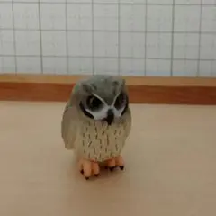 【匿名配送】フクロウ　フィギュア
