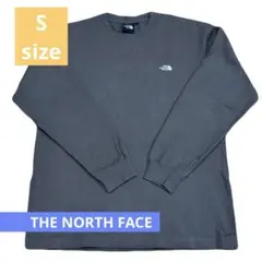 ザノースフェイス　ブラウン　長袖カットソー　メンズ