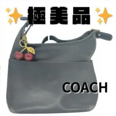 【美品】OLD COACH 9058 レザーショルダー