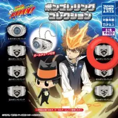 家庭教師ヒットマンREBORN! ボンゴレリングコレクション 嵐のボンゴレリング