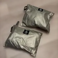 Item thumbnail for item 250772a1-3bc4-4401-98af-7b67ac50278b