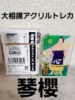 大相撲 アクリルトレカ キーホルダー 琴櫻将傑