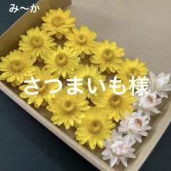 70・ヘリクリサムドライフラワー　花材　リース　ハーバリウム　キャンドル　貝細工 70・ヘリクリサムドライフラワー 花材 リース ハーバリウム キャンドル