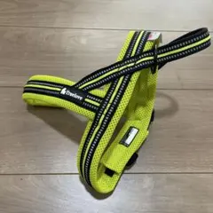 Item thumbnail for item aaa819cb-003f-4b99-a78f-e4895b341f4c