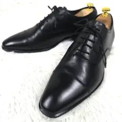 極美品】テクシーリュクス GTX ゴアテックス 革靴 金ロゴ 24.5 3E