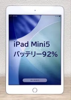 iPad mini5 Wi-Fi+Cell 64GB 美品 箱付