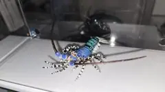ネイチャーテクニカラー 日本のいきもの ニシキエビのサムネイル