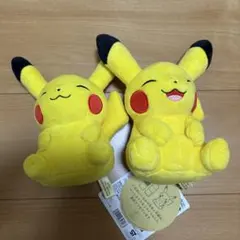 ポケモン ピカチュウ マイピカチュウ ぬいぐるみ ポケモンセンター 笑顔 オスのサムネイル